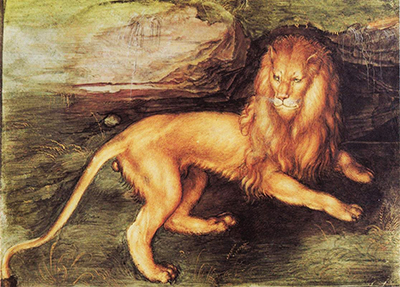 Lion Albrecht Durer